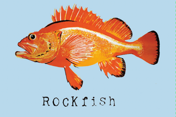 Rockfish Post Card