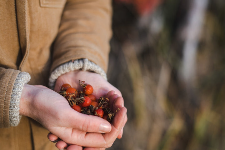 Thriving in Winter: Part 1 | Winter Bird Garlands & Seafood Charcuterie Board