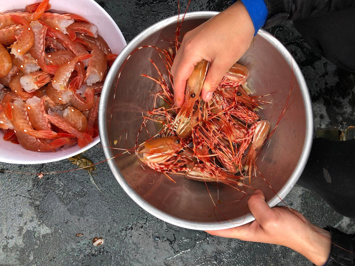 Thriving in Winter: Part 2 | Grow Bulbs Indoors & Make Garlic-Butter Prawn Noodles