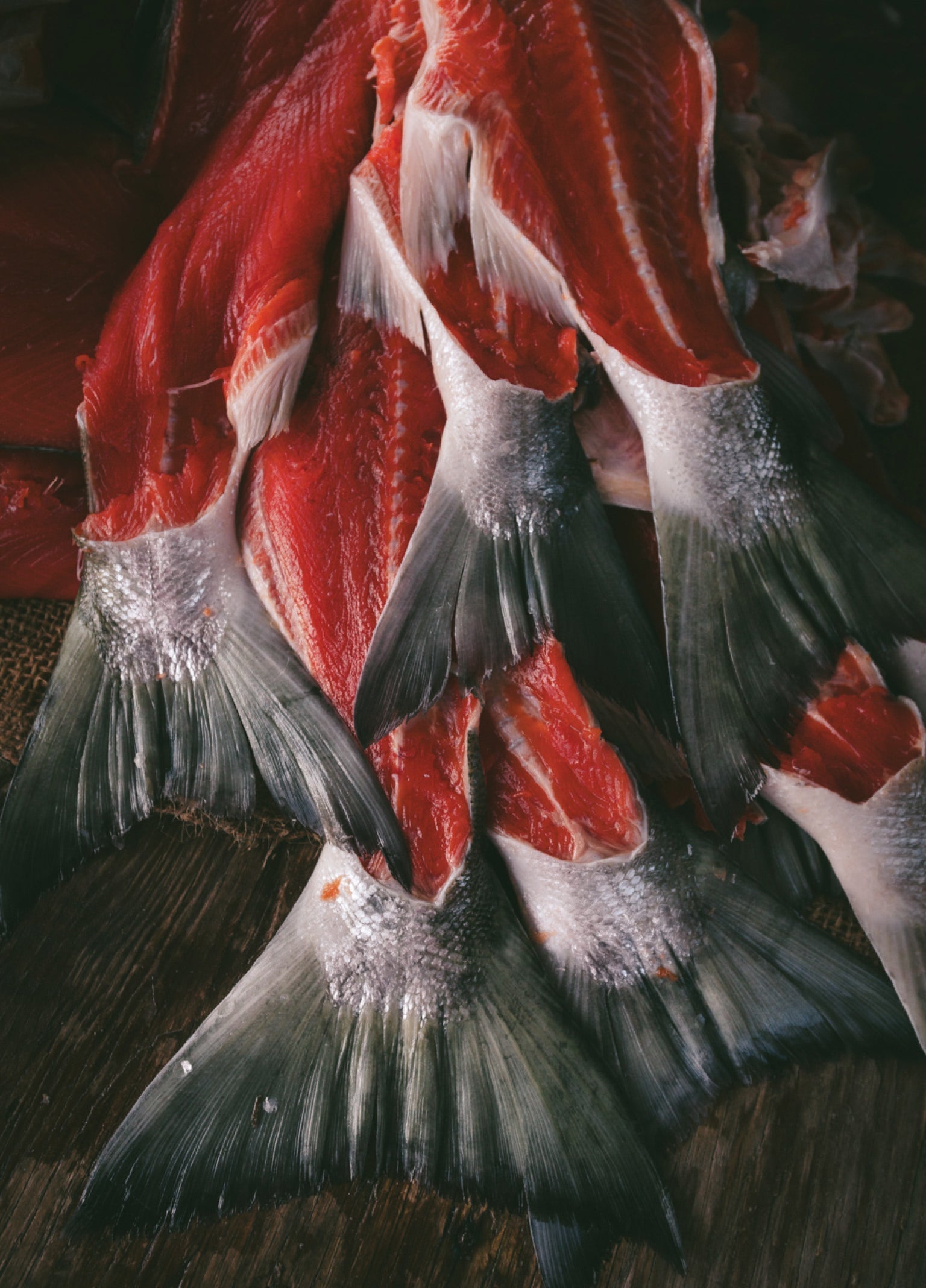 Salmon Sisters x AlaSkins Sustainable Seafood Dog Treats