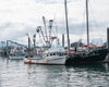 Winter Opportunities & Resources for Alaska's Fishing Community