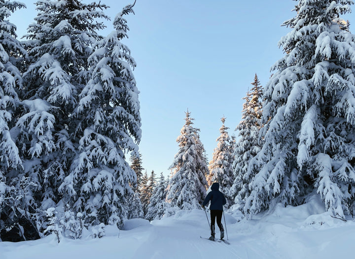 A survey: Celebrating Alaskan Winter
