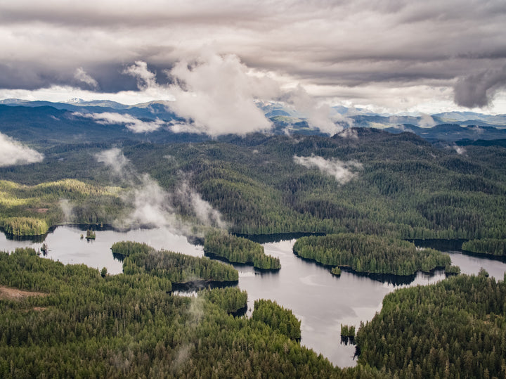 Save the Wild Beauty of the Tongass Rainforest