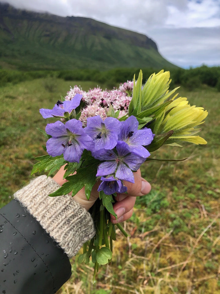 Aleutian Wildflowers