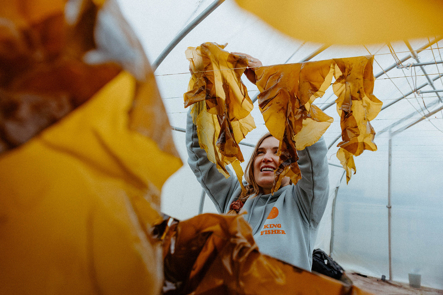 Kachemak Kelp