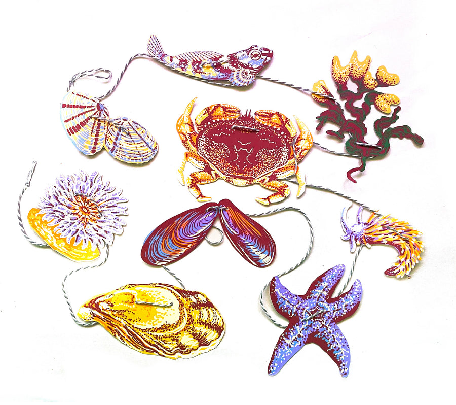 Tide Pool Paper Garland