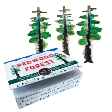 Crystal Growing Redwood Forest | Craft Kit Science Kit