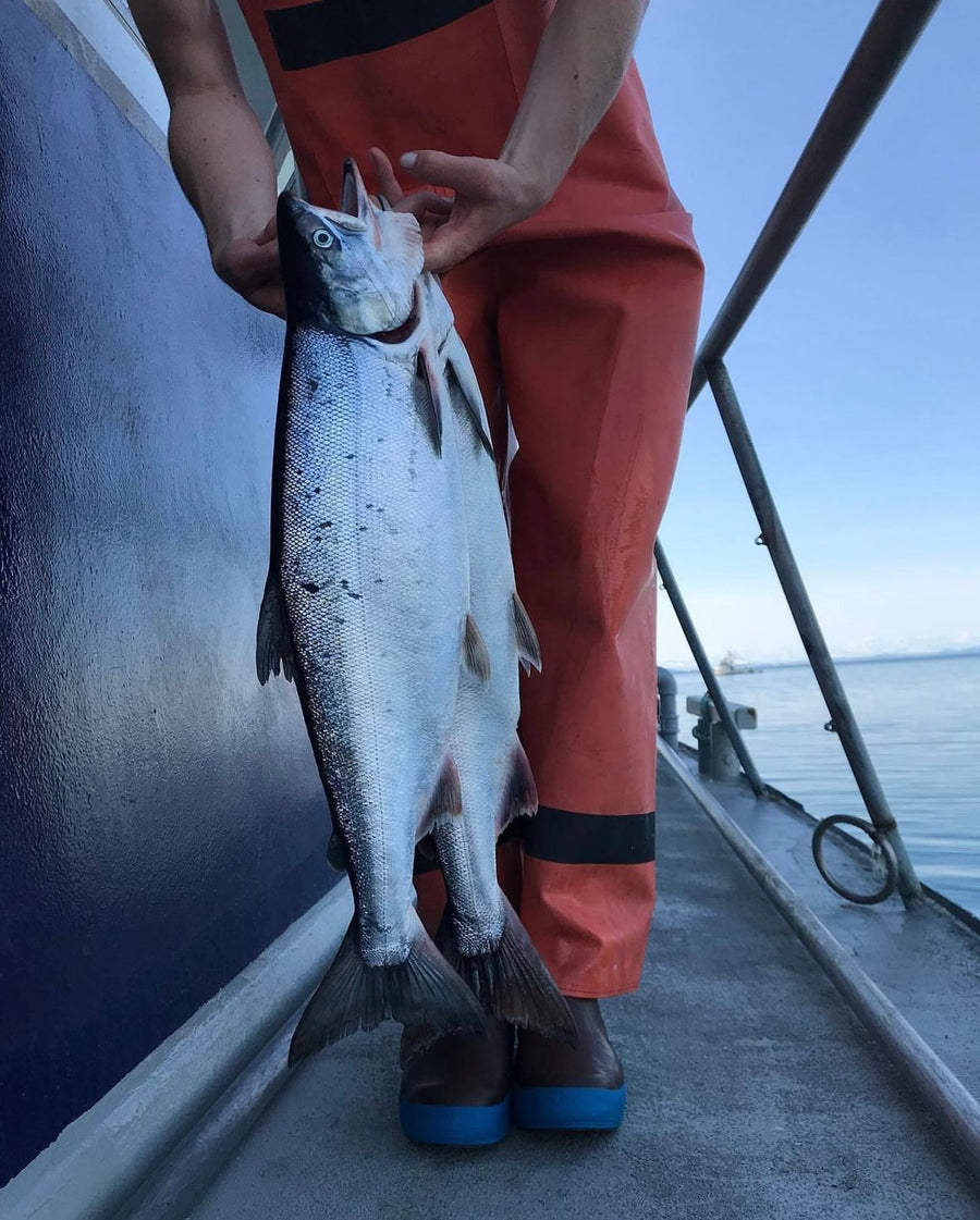 Wild Alaska Sockeye Salmon Portion Box: 10 LBS