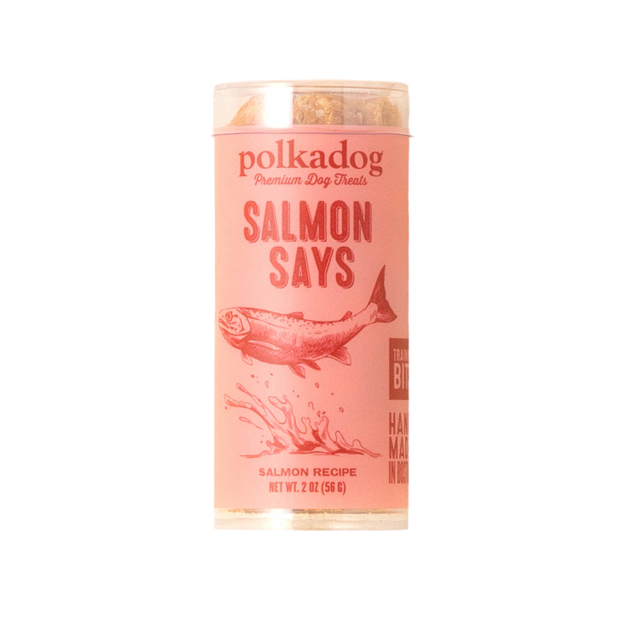 Polkadog - Salmon Says Training Bits