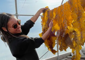 Kachemak Kelp - Selkie Soak