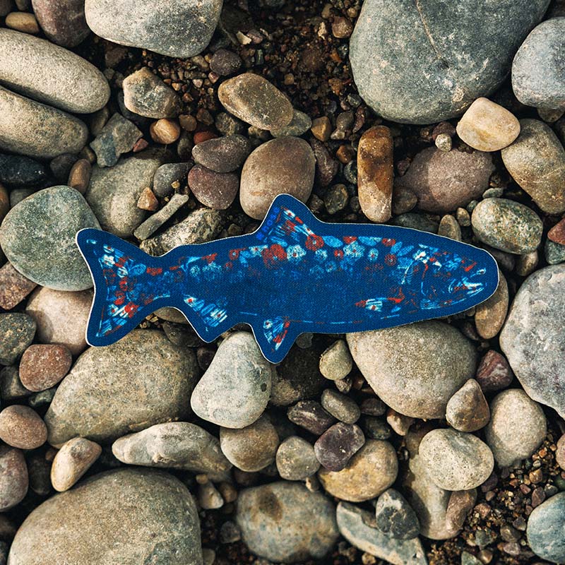 NoSo x Salmon Sisters - Spawning Floral Salmon