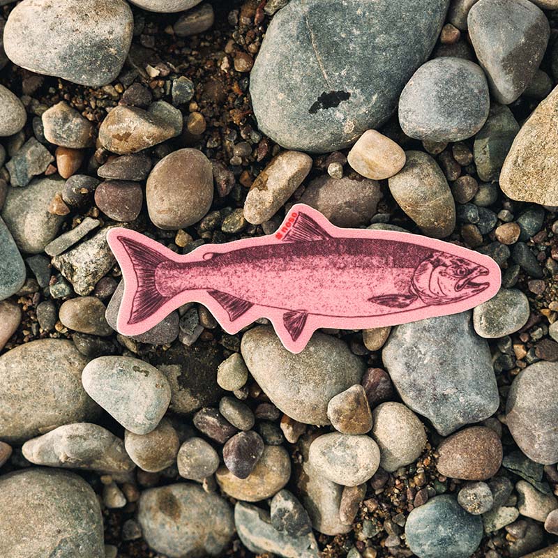 NoSo x Salmon Sisters - Salmon
