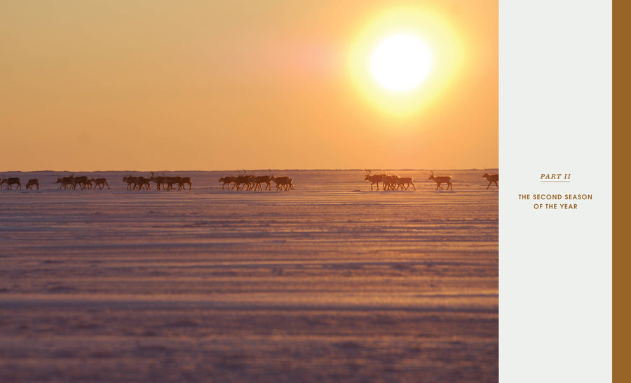 A Thousand Trails Home: Living with Caribou