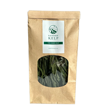 Kachemak Kelp Five-Ribbed Kelp