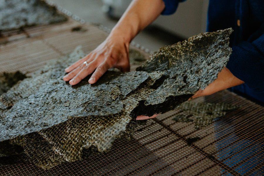 Kachemak Kelp - Kelp Flakes