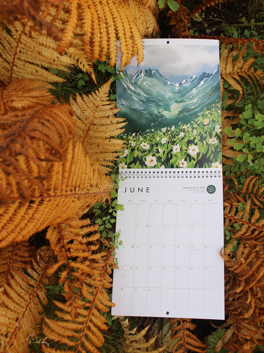 Jill Richie - 2026 Calendar