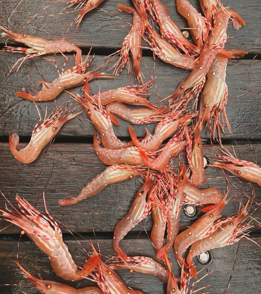 Prawn Tea Towels