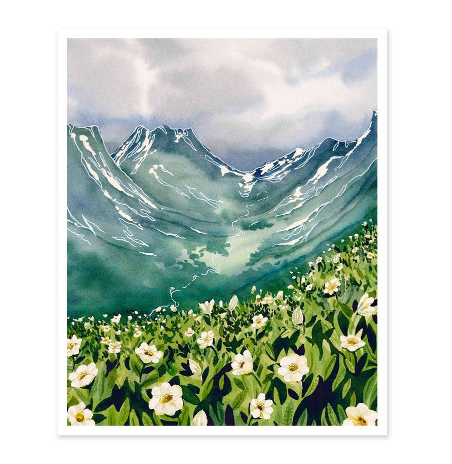Jill Richie - Mountain Avens Print