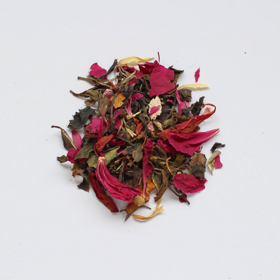 Alaska Beauty Peony - Lady Grey Blend