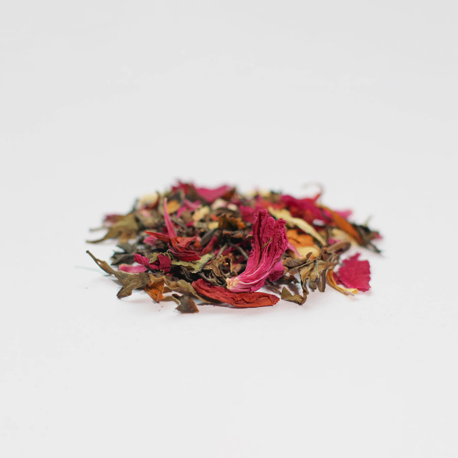 Alaska Beauty Peony - Lady Grey Blend