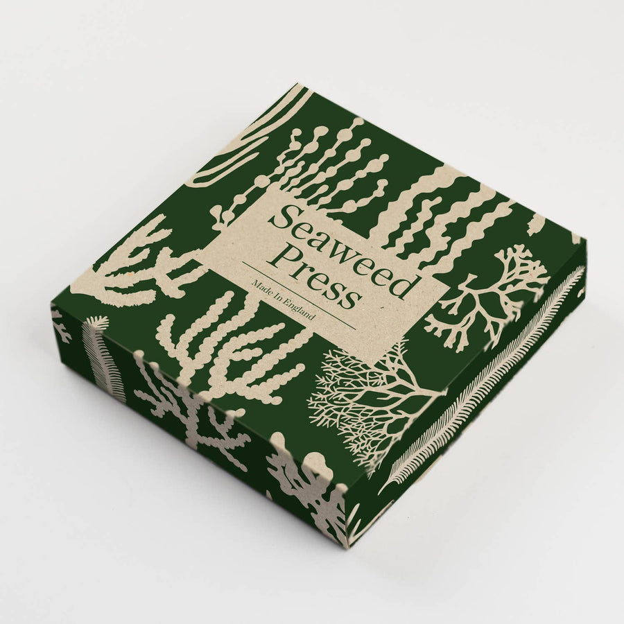 Wald Seaweed Press Kit