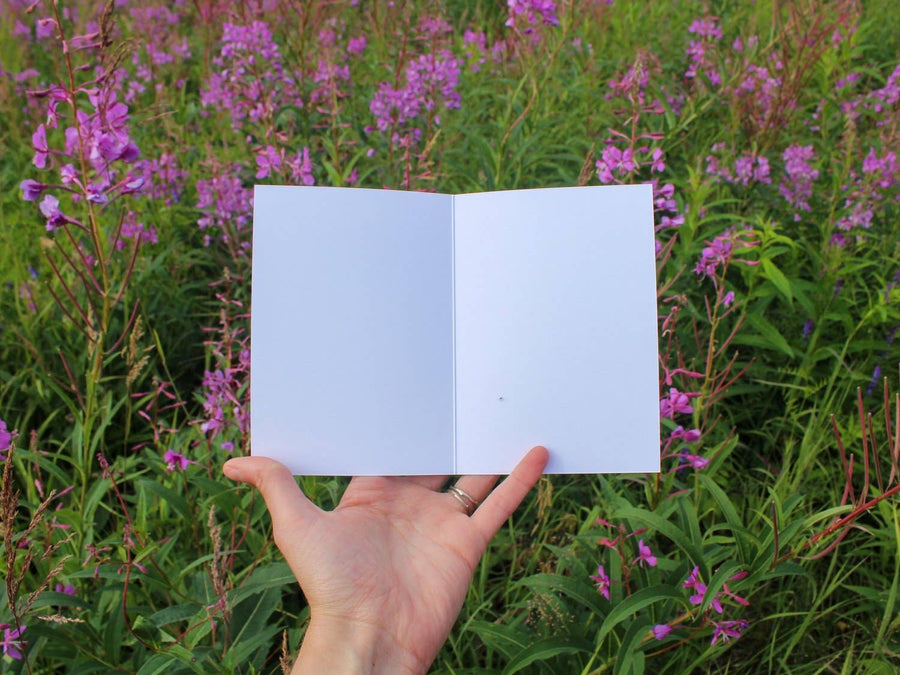 Jill Richie - Full Bloom Greeting Card 4-Pack