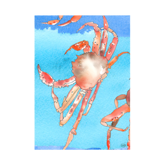 Natasha Zahn - Crab Dip Recipe Greeting Card