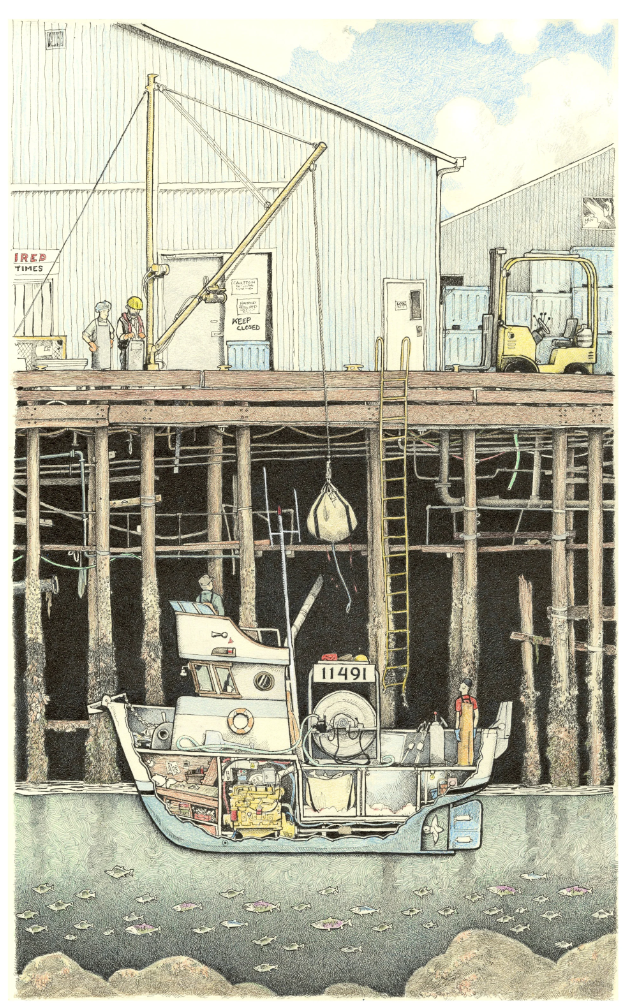 Tom Crestodina Artwork (Variety)