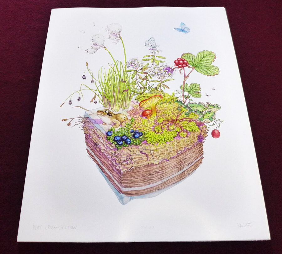 Kim McNett - Peatlands Cross Section Print