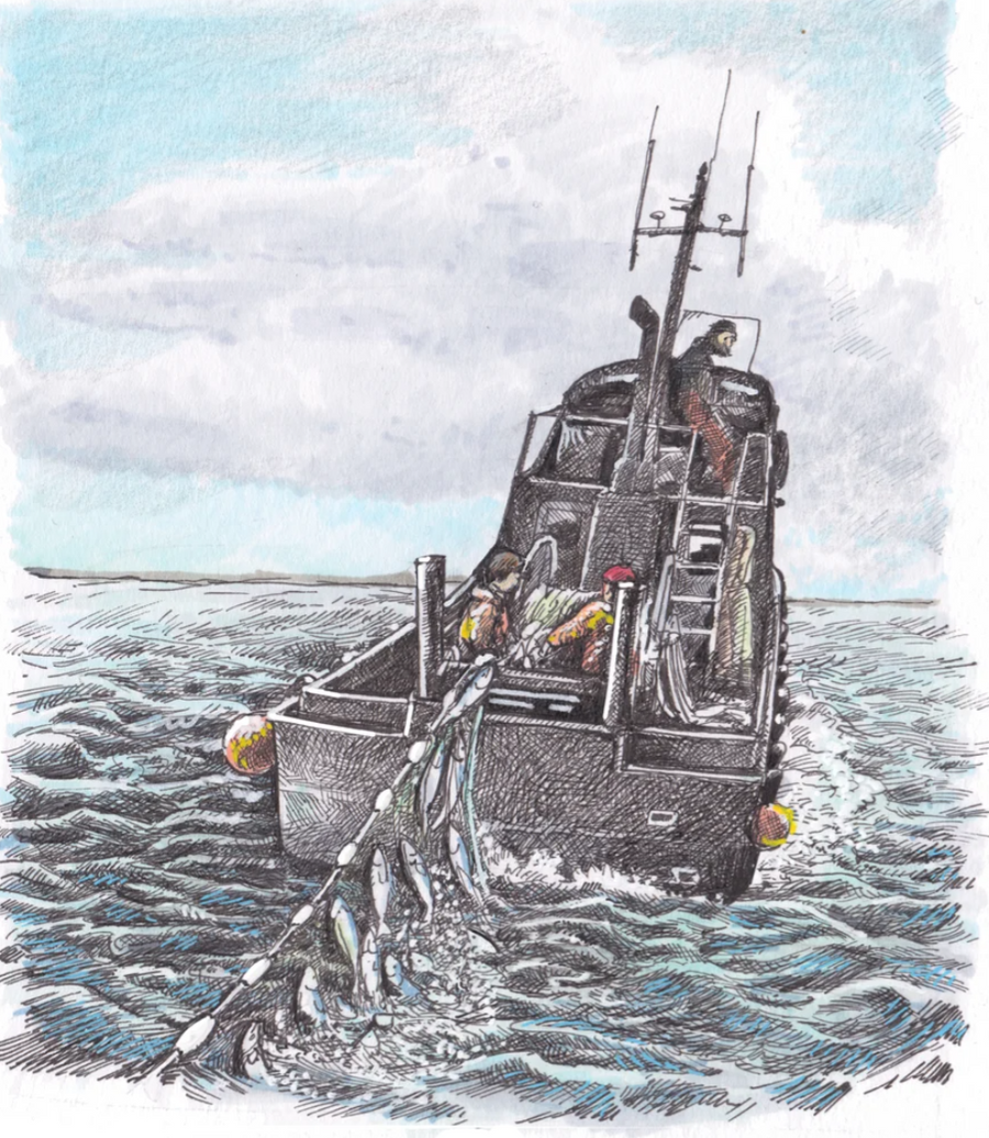 Tom Crestodina Artwork (Variety)