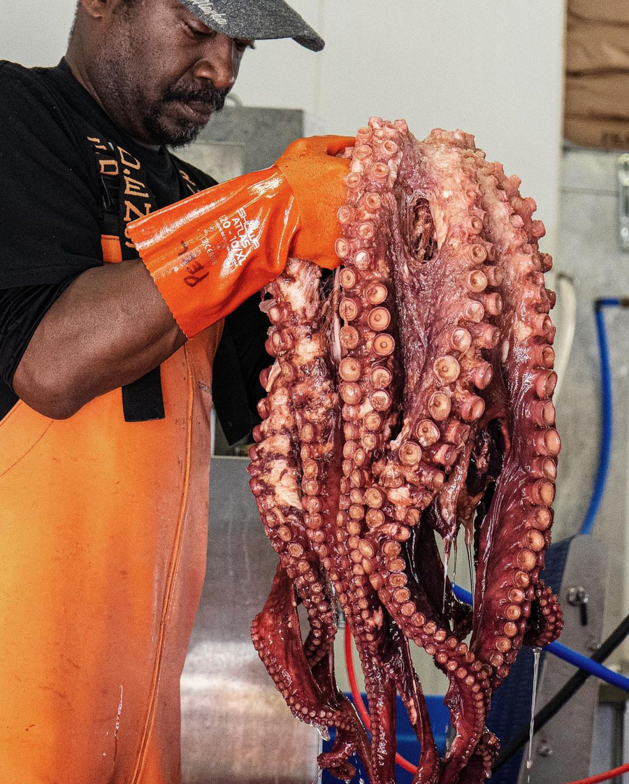 Wildfish Cannery - Smoked Octopus