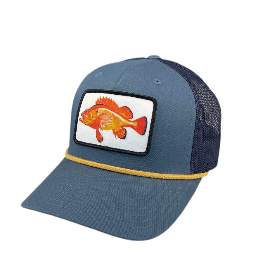 Rockfish Cap - Blue