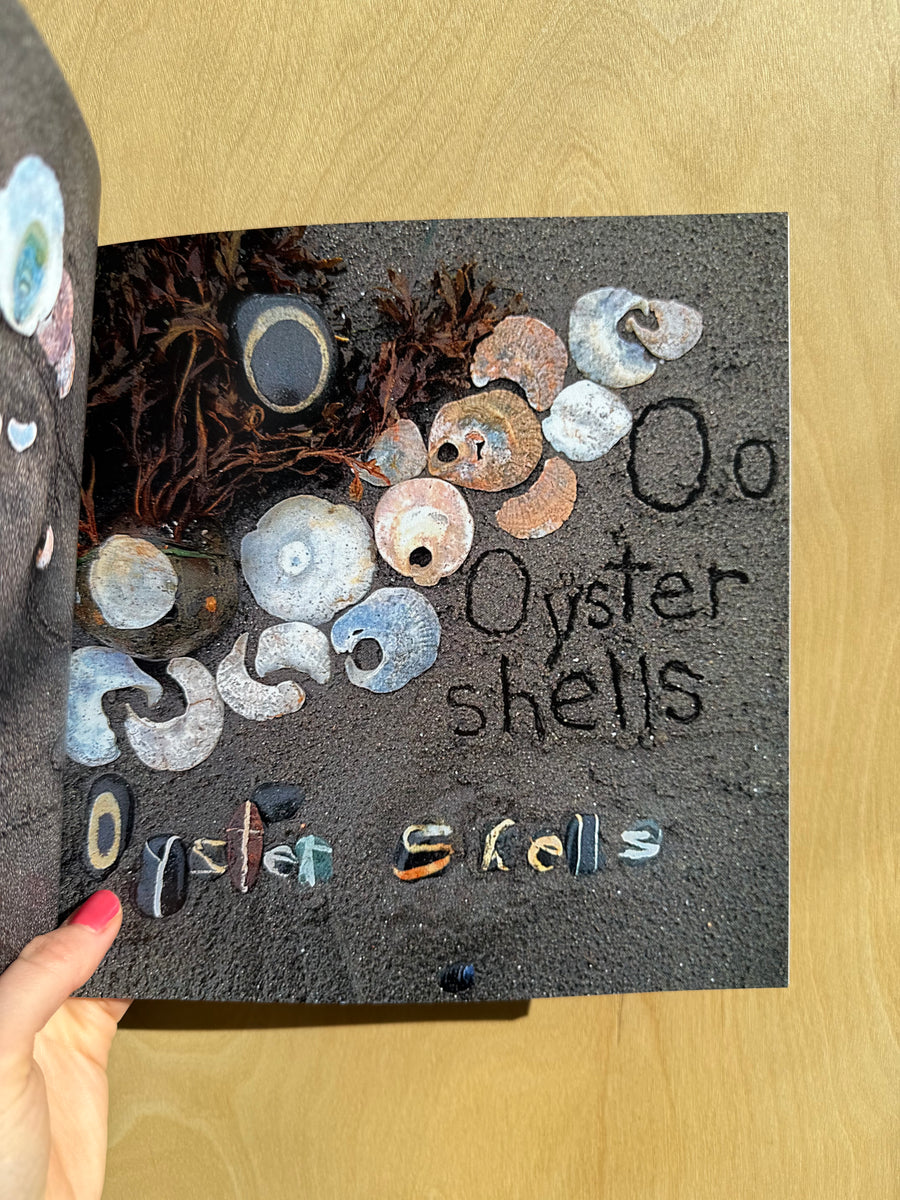 Molly Montgomery - Beachcomber's ABCs