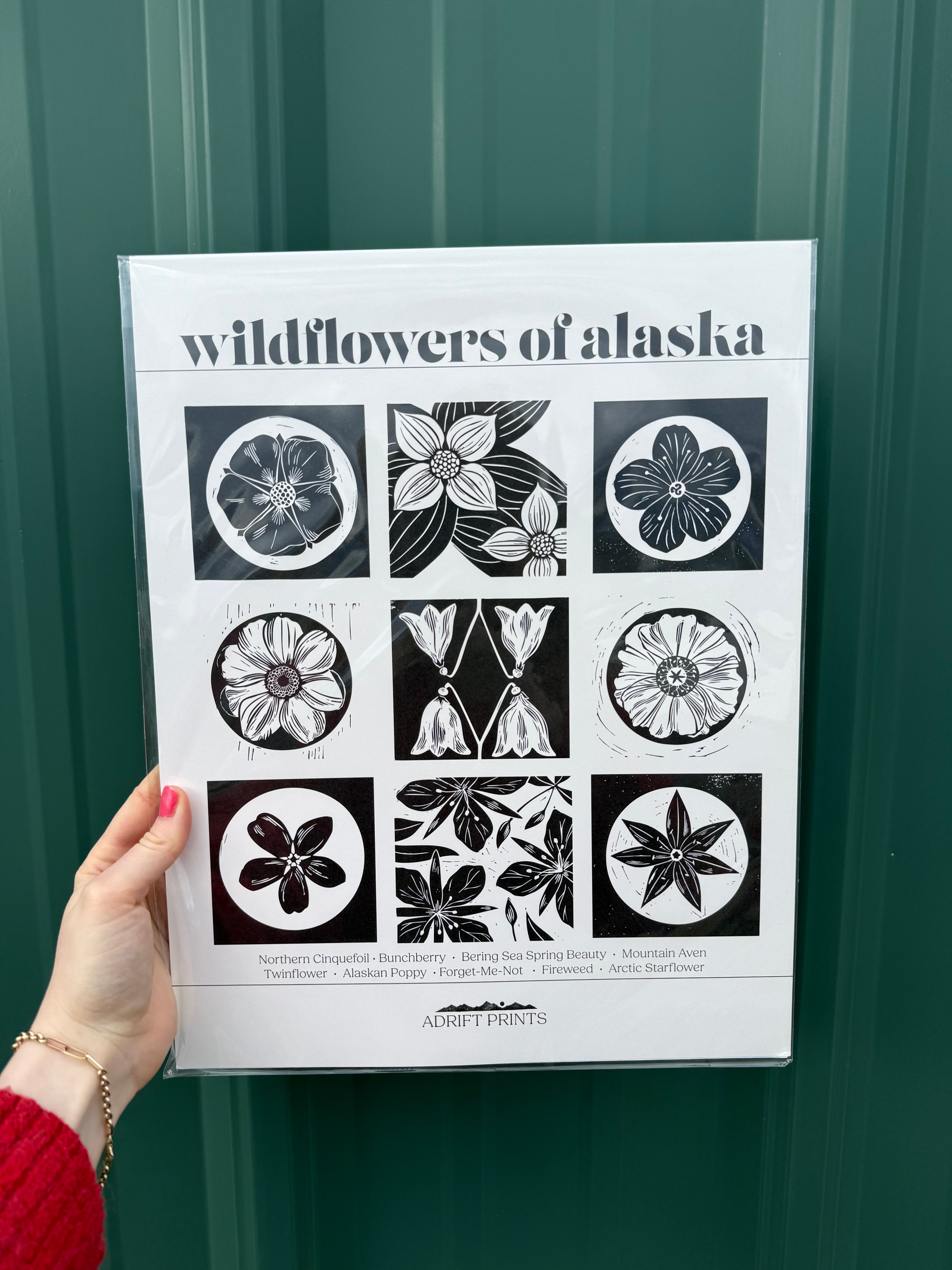 Kristin Vantrease - Adrift Prints – Salmon Sisters
