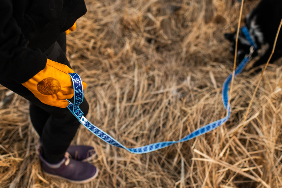 Salmon Sisters Dog Leash - Waves