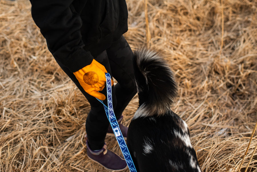 Salmon Sisters Dog Leash - Waves