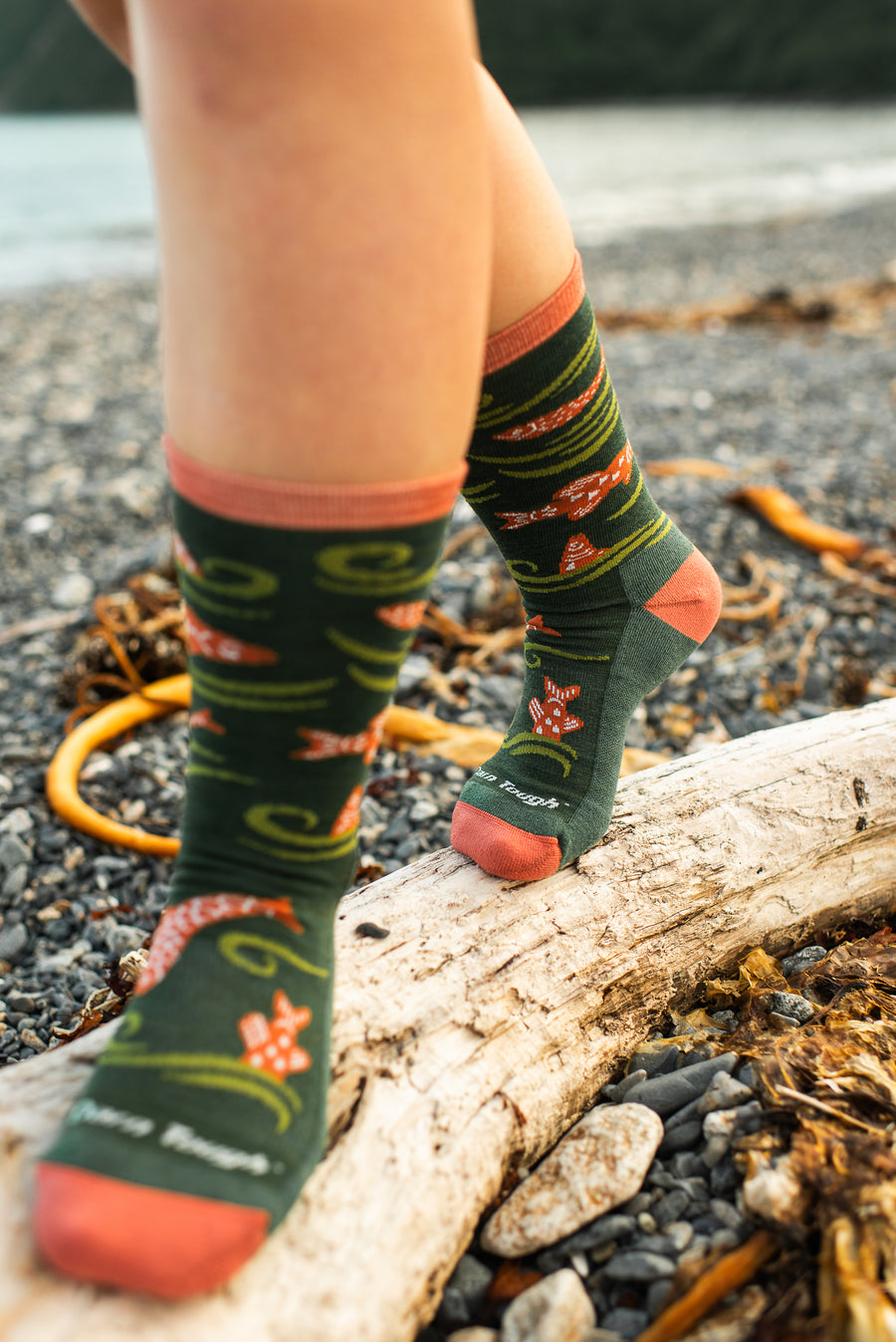 Darn Tough - Homer Kelp Boot Sock