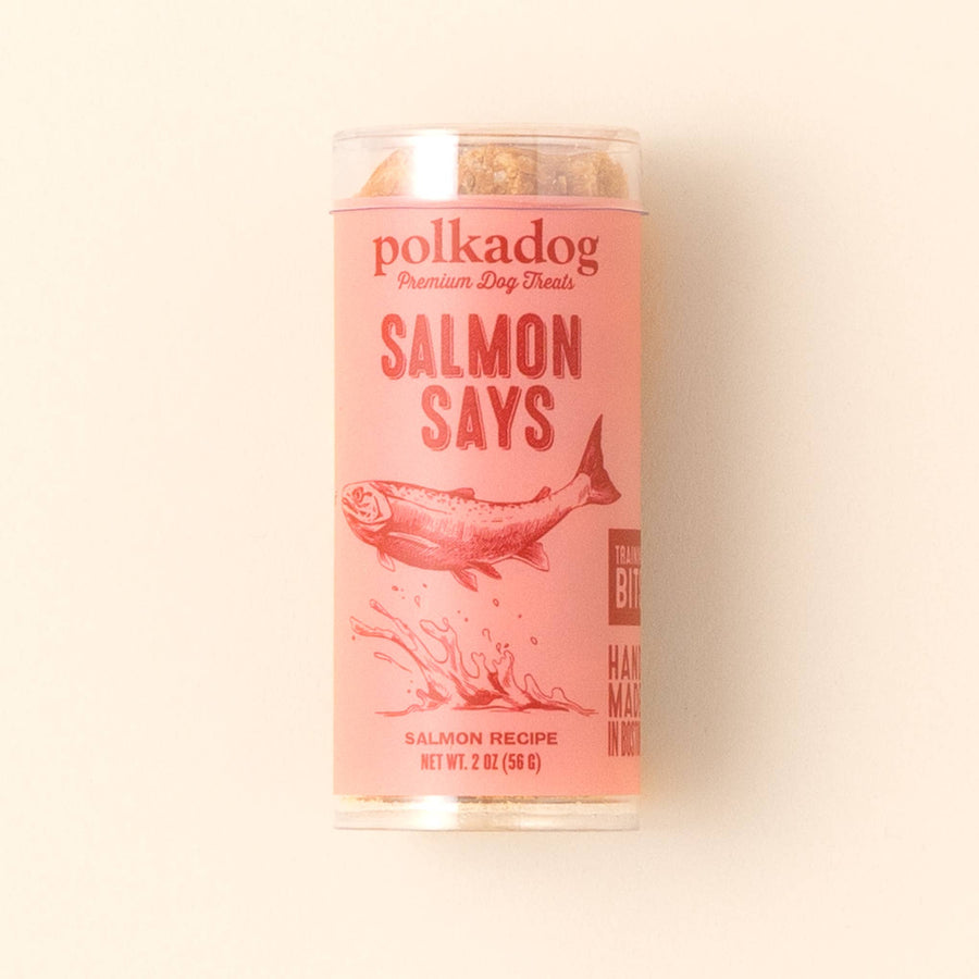 Polkadog - Salmon Says Training Bits
