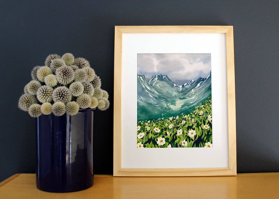 Jill Richie - Mountain Avens Print