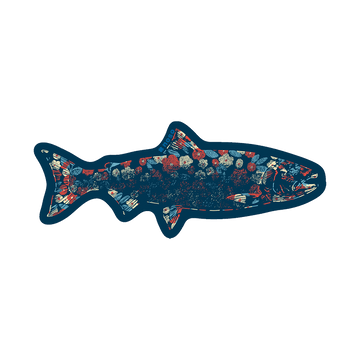 NoSo x Salmon Sisters - Spawning Floral Salmon