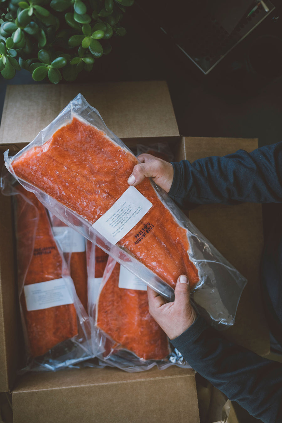 Wild Alaska Sockeye Salmon Fillet Box: 10 Fillets