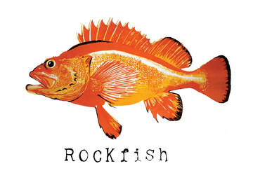 Rockfish Greeting Card